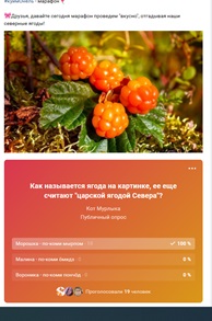XpDqoFzhPvI — копия (2).jpg XpDqoFzhPvI — копия (2).jpg