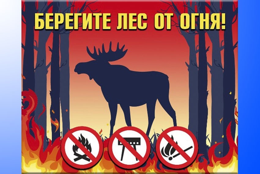 ata-NSdU9UU.jpg