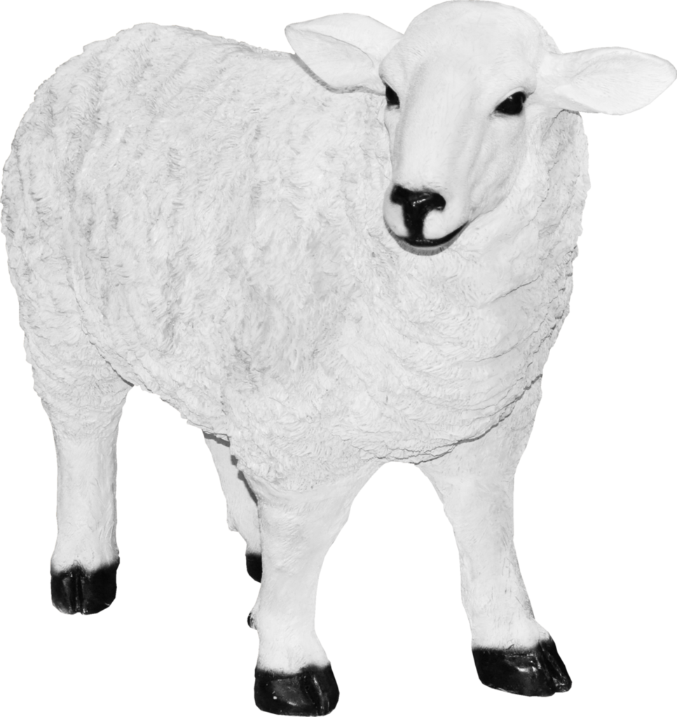 овца.png