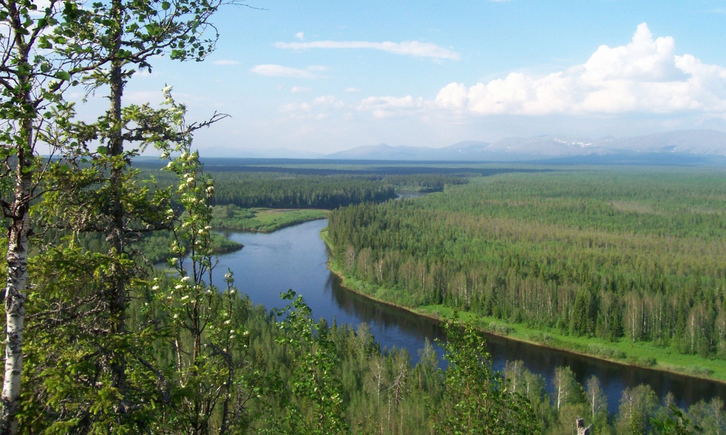 Республика Коми.jpg